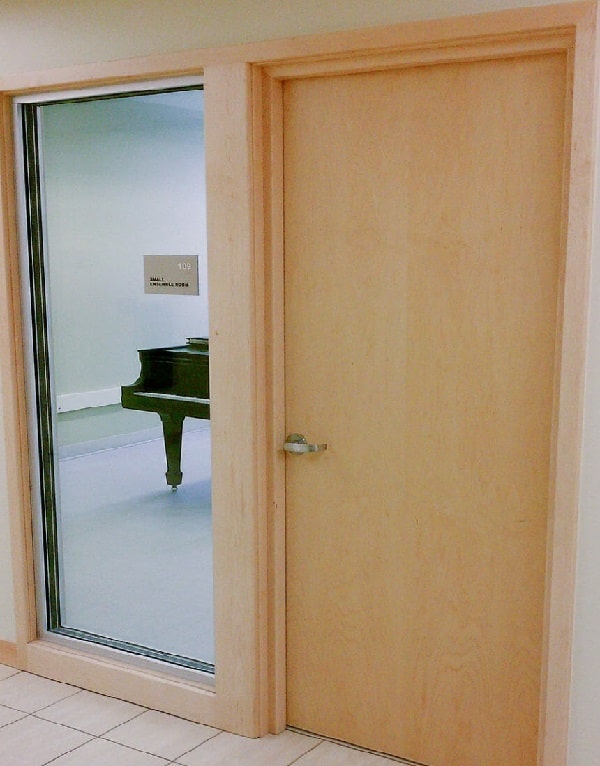 Acoustic Flush Door Manufacturer in Haryana